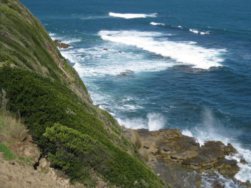 Venus Bay widok na ocean