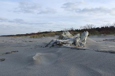 Listopadowa plaża #plaża #przyroda #Franciszek #Rochowczyk #krajobrazy #jesień #jantar