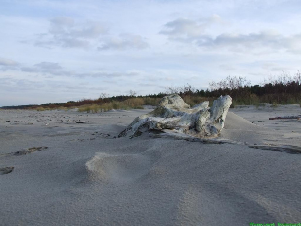 Listopadowa plaża #plaża #przyroda #Franciszek #Rochowczyk #krajobrazy #jesień #jantar