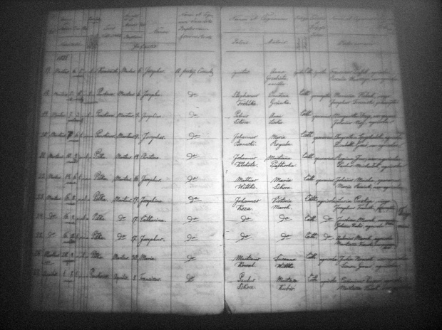 strona księgi urodzeń parafia Piłka rok 1851 poz 23,24,25 trojaczki, łacina #genealogia #metryka