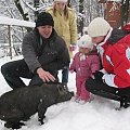 wycieczka do leśnego parku niespodzianek