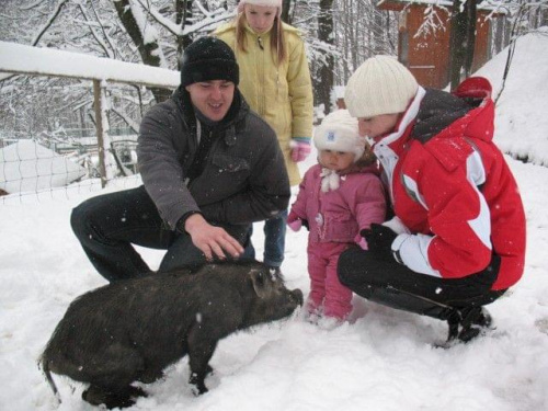 wycieczka do leśnego parku niespodzianek