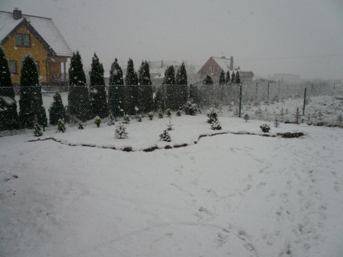 początek ogrodu i zimy