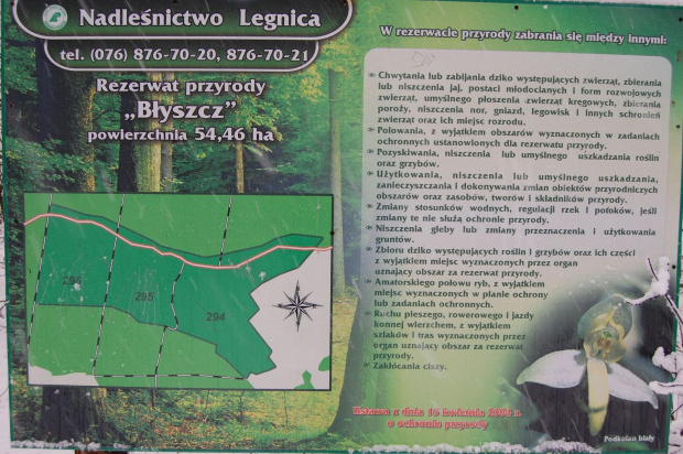 Las zimą- puszysta otulina...