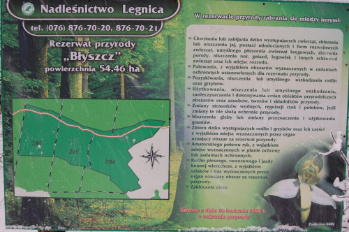 Las zimą- puszysta otulina...