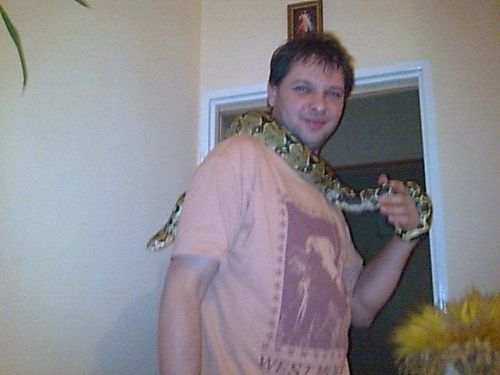 Boa constrictor waz wąż