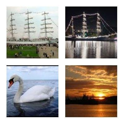 #miasto #Gdynia #przyroda #ptaki #natura #morze #statki