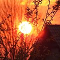 jesienny zachód słońca #kolory #natura #Sierpień2007 #słońce #ZachódSłońca #jaba