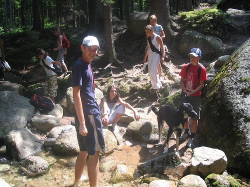 górska wycieczka #pies #psy #zwierzęta #góry #wycieczki