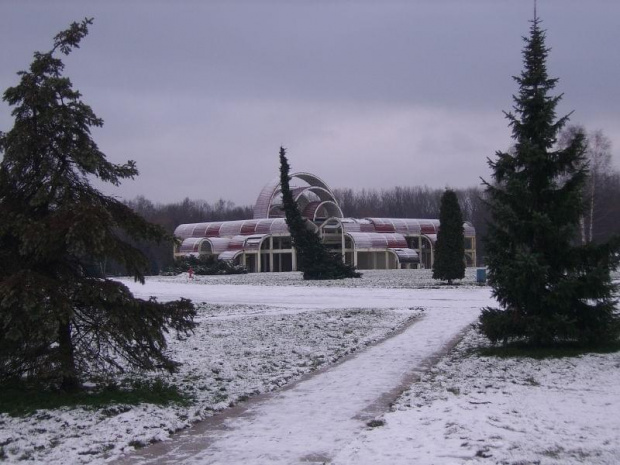 park zimą