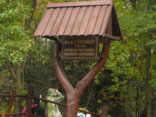 Przemkowski Park Krajobrazowy - szkolna wycieczka 2008