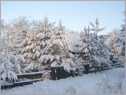 Tu gdzieś powinien być nasz dom... hmmm... #zima #spacer #snieg #drzewa #łąki #pola