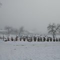 Pątnów Legnicki- zima 2009 #Zima #PątnówLegnicki #śnieg #kulig