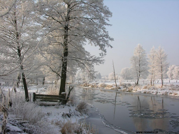 Foto: Sylwester Nicewicz - Kozioł i rzeka Pisa w zimowej szacie #foto #gmina #kolno #kościół #Kozioł #Nicewicz #Pisa #podlaskie #rzeka #Sylwester #zima