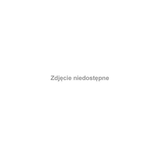 19 stycznia 2009 r. w Zespole Szkół im. Kajetana hr. Kickiego w Sobieszynie odbyło się spotkanie młodzieży z przedstawicielami WSOSP w Dęblinie #Sobieszyn #Brzozowa