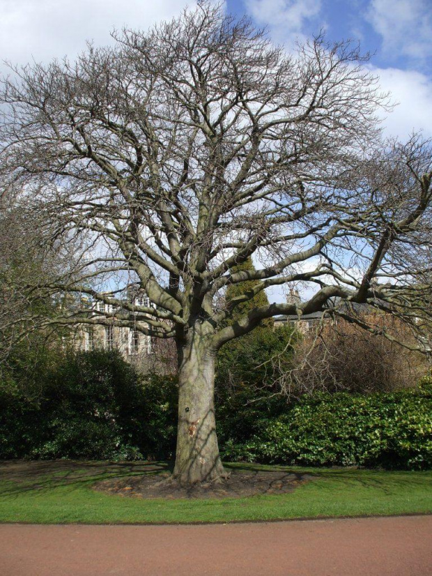 Royal Botanic Gardens