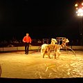 Cyrk Zalewski 2007 Zakaz kopiowania zdjęć zapraszamy na www.cyrk-fan.com #CyrkZalewski