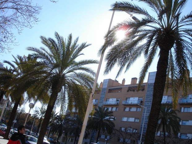 jaa! #Barcelona #ferie #Hiszpania #lato #góry #plaża #słońce #palmy #papugi