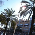 jaa! #Barcelona #ferie #Hiszpania #lato #góry #plaża #słońce #palmy #papugi