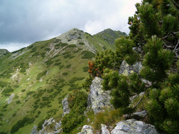 na grani Otargańców #Tatry #góry