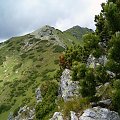 na grani Otargańców #Tatry #góry