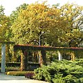 Park Południowy