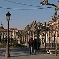 Plaza de Cerbantes - Alcala de Henares