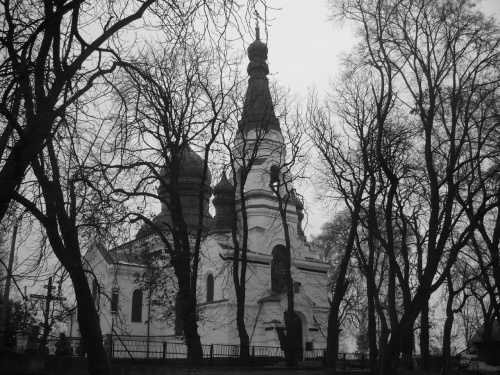 Cerkiew we Włodawie ujecie z parku #cerkiew #zabytek #kultura #kosciół #starocie #drzewa