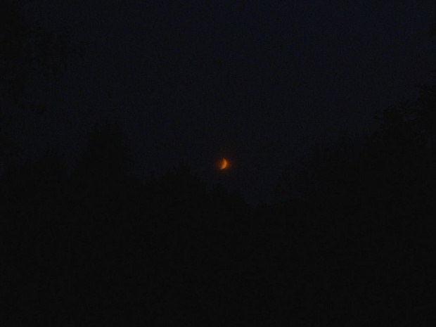 no moim aparatem już lepszego księżyca nie zrobię... #las #wieczór #zmierzch #krajobraz