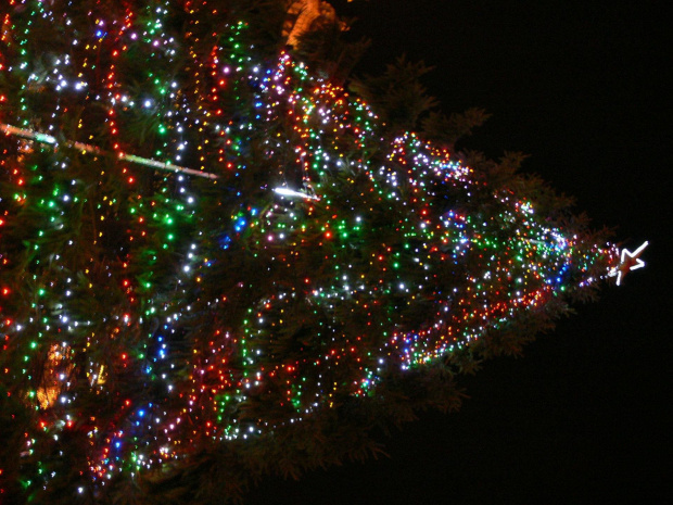 belfast eye and xmas tree