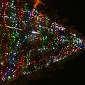 belfast eye and xmas tree