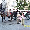 #Wawel #Kraków #Zabytki #Sukiennice #Rodzina #Rynek #Hejnał #KościółMariacki #Wieża #Smok #Pomnik