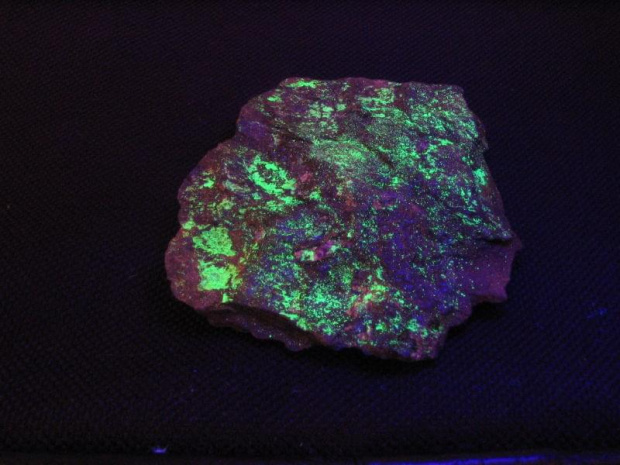 Autunit - Kowary (7x5cm) światło UV #minerały #kowary