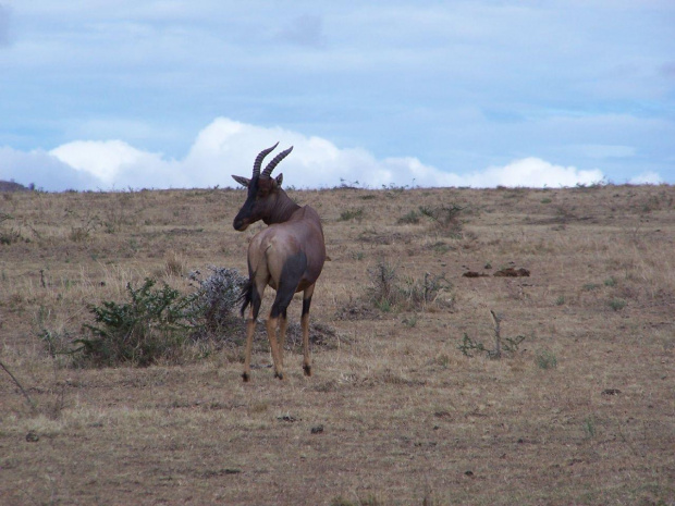 Kenia #kenia