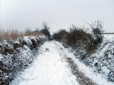 Skierbieszów,listopad, zima, spacer