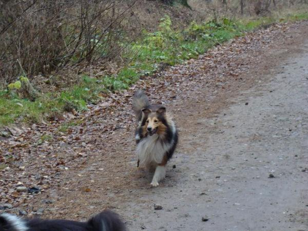 z wizytą w hodowli Vesca Montana :)