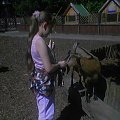 Karolinka w zoo