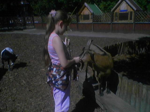 Karolinka w zoo
