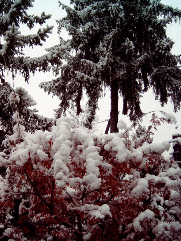 Pierwszy śnieg w RABCE-Zdrój 20.10.2007r #śnieg #rabka