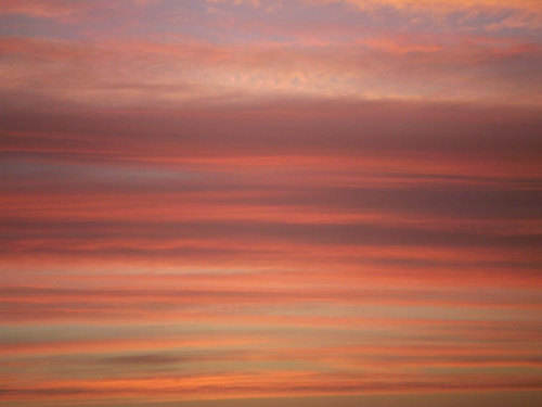 Wschód Słońca - 8:36 . Data : 05.12.2007. Miejsce : fotka z okna w pokoju :) Miejscowość : Piaski Wielkopolskie .