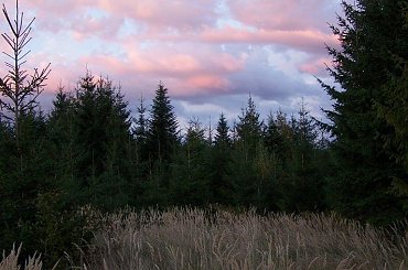 Bieszczady - Sianki #bieszczady #sianki #góry