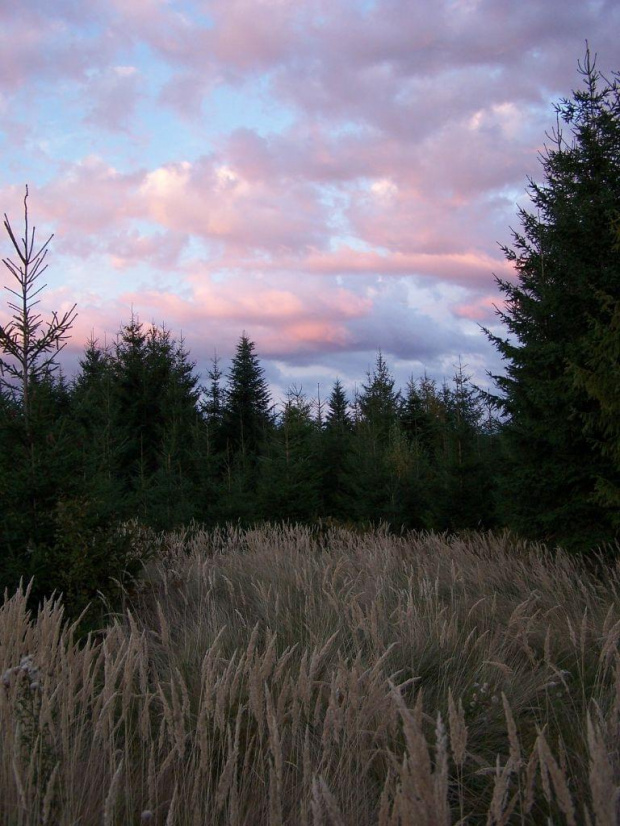 Bieszczady - Sianki #bieszczady #sianki #góry