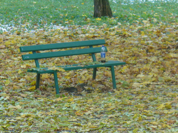 park Bednarskiego #park #ławka