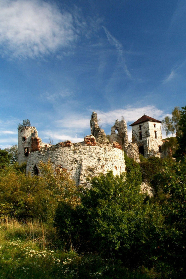 Zamek Tęczyn w Rudnie