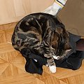 MAX SPI NA SPODENKACH ROWEROWYCH