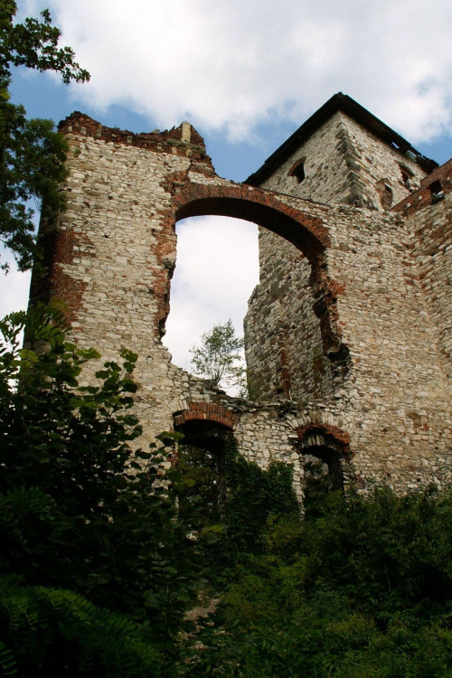 Zamek Tęczyn w Rudnie