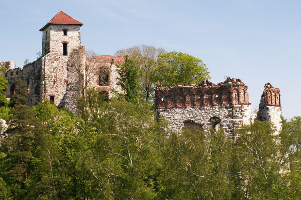 Zamek Tęczyn w Rudnie