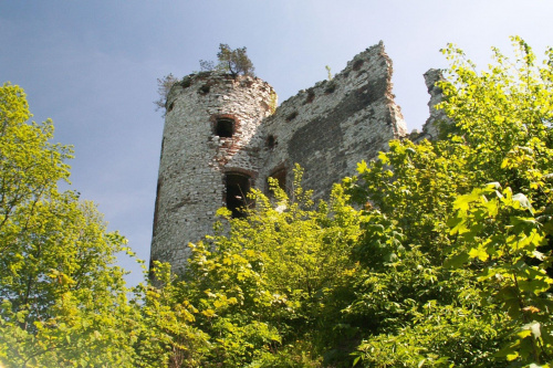 Zamek Tęczyn w Rudnie