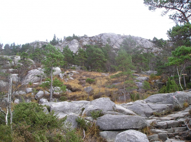 Norwegia, Droga na Preikestolen