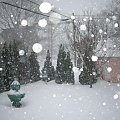 zamiec sniezna - 16 grudzien 2007 #Kanada #Toronto #zima2007 #ogrod
